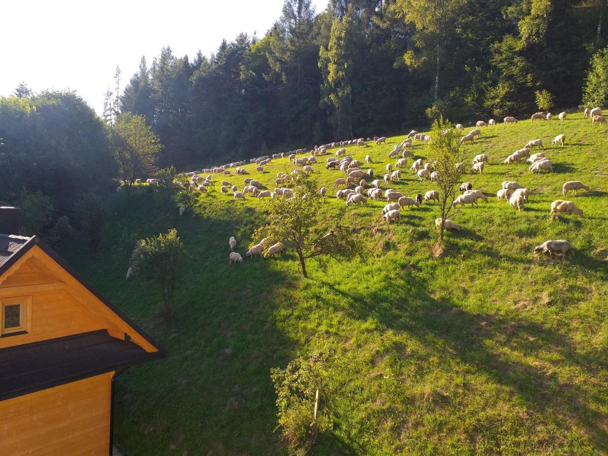 Domek Pod Groniem Mizerna Exteriör bild